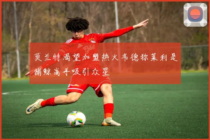 莫兰特渴望加盟热火韦德称莱利是捕鲸高手吸引众星